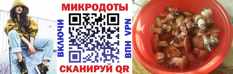 Купить  Волжск  Галлюциногенные грибы мицелий 